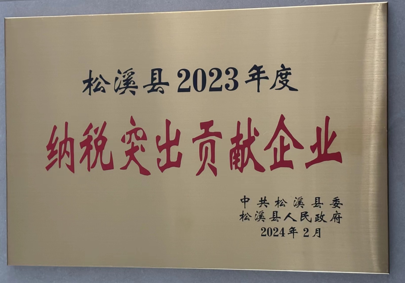 喜報(bào)！易順建工集團(tuán)榮獲“松溪縣2023年度納稅突出貢獻(xiàn)企業(yè)”稱號(hào)